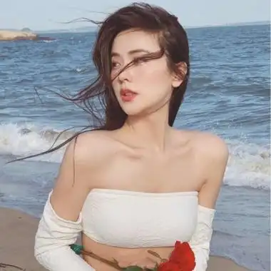 蜘蛛池在泛解析中的实战价值